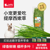 Jolly兔子兔草提摩西草干草烘干提摩西嫩草段龙猫荷兰猪粮食饲料