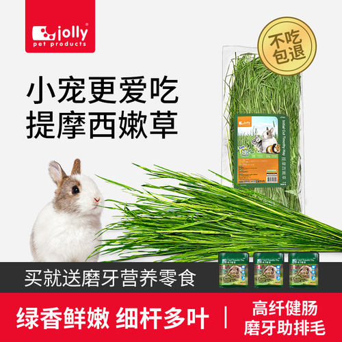 Jolly祖莉提摩西草嫩草