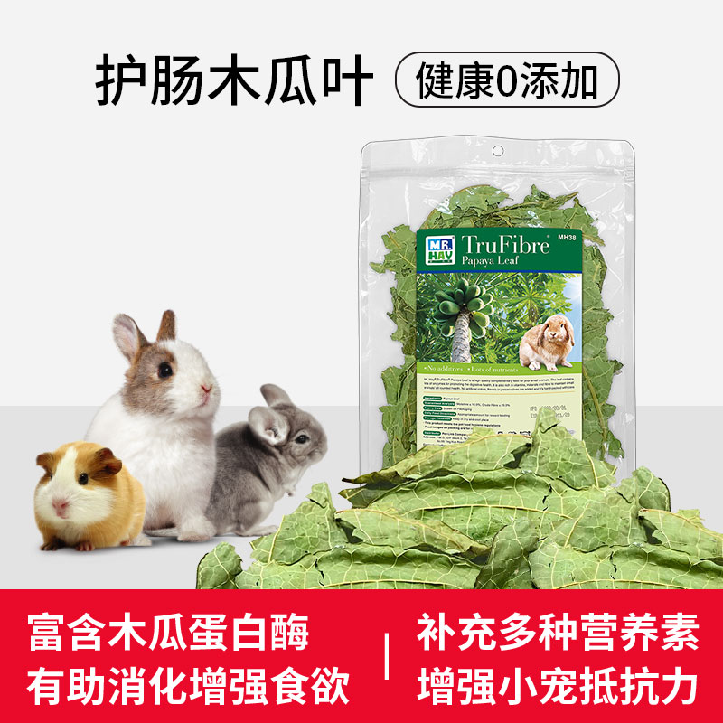 兔子零食木瓜叶片护肠营养排毛荷兰猪龙猫幼兔垂耳侏儒兔用品磨牙