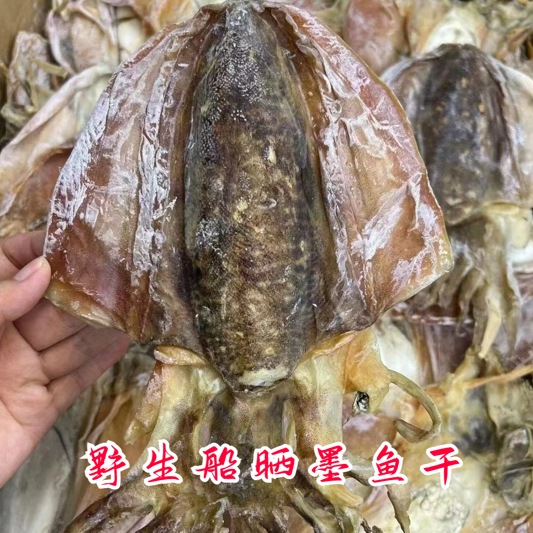 舟山特产墨鱼干墨鱼鲞船晒