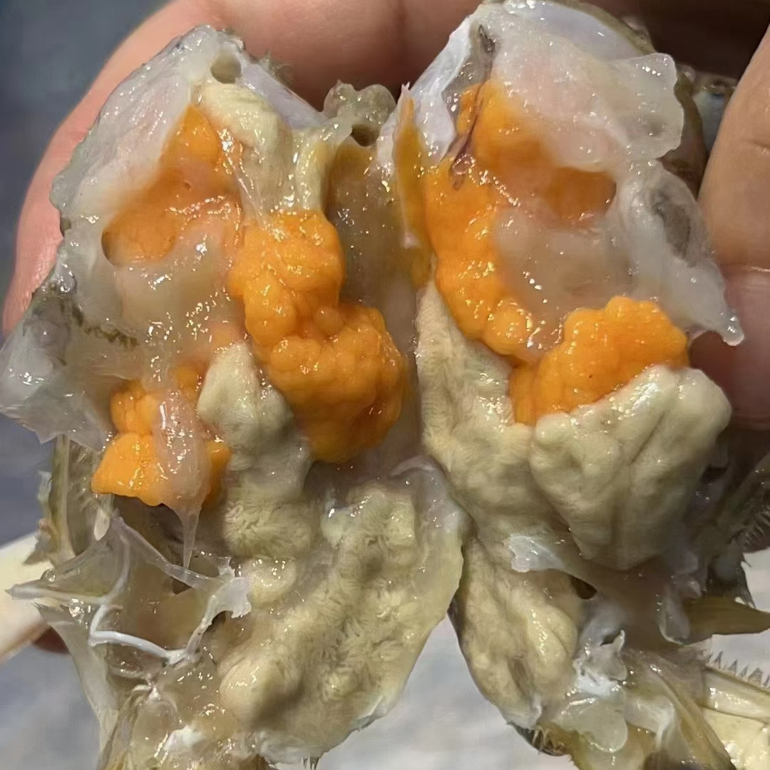 《保鲜不保活》舟山冰鲜梭子蟹 红膏蟹母蟹