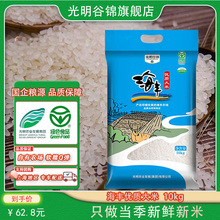 光明谷锦23年新米海丰优质大米20斤海丰农场粳米10kg装 软香糯大米