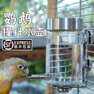 鹦鹉撞针水壶加长水嘴磁吸玻璃虎皮牡丹玄凤鸟用饮水器自动喂水器