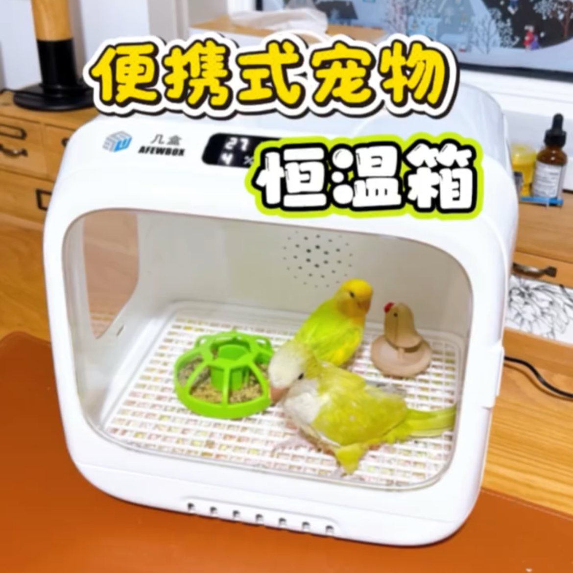 几盒便携式保温箱风暖宠物保温箱鹦鹉幼鸟雏鸟恒温箱车载充电宝,宠物/宠物食品及用品,鸟禽其他,淘宝优惠券,粉丝福利购,淘宝优惠卷