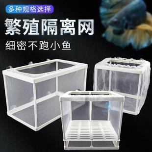 鱼缸水族箱隔离器隔离盒网孵化器孔雀鱼迷你鹦鹉繁殖箱