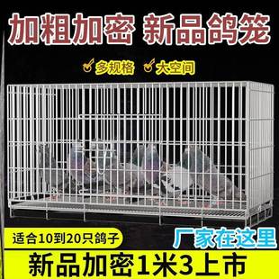 鴿籠養(yǎng)鴿子專用籠配對(duì)籠鳥籠大號(hào)特大不銹鐵養(yǎng)殖籠 鴿子籠家用新款