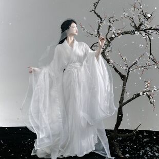 中国风双层交领长衫 衫 直裾汉服梅花 雪梅绣花大袖 原创汉服春夏新款