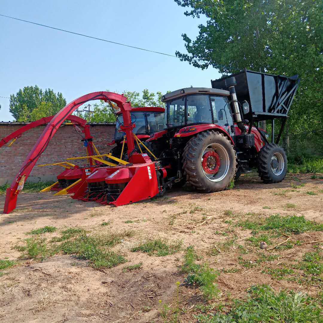 厂家改装自走式玉米秸秆青储收割一体机 黄储收获机 青储机价格