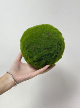 各种尺寸大小 仿真青苔球 球简中式风花艺软99301约装常用苔藓圆