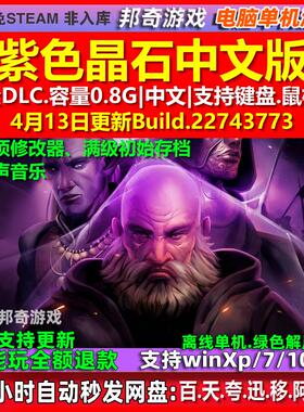 紫色晶石Stoneshard 中文版 全DLC 免steam 电脑PC单机游戏