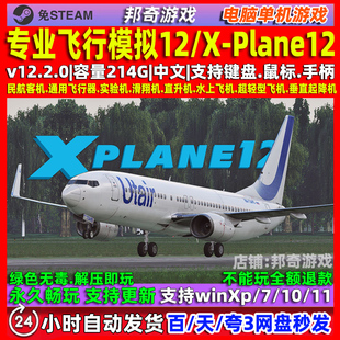 X-Plane12专业飞行模拟12免steam中文版全DLC 电脑PC单机游戏