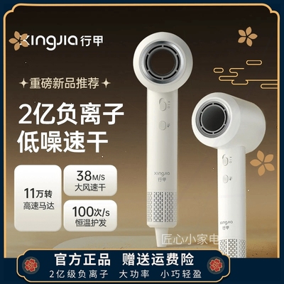行甲吹风机负离子家用大功率11万