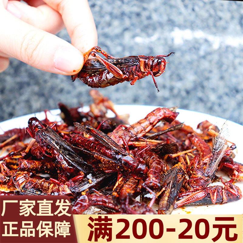 新鲜蚂蚱昆虫食用蝗虫即食香酥美食虫子下酒菜零食烧烤摊商用小吃