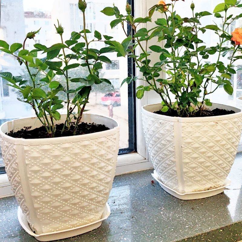 高颜值塑料PP树脂防晒花盆家用阳台盆景宿舍办公桌绿植盆栽花卉盆
