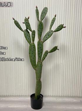 仿真仙人掌塑料材质小果花仙人景树 沙99129漠造仿真树带  2个规