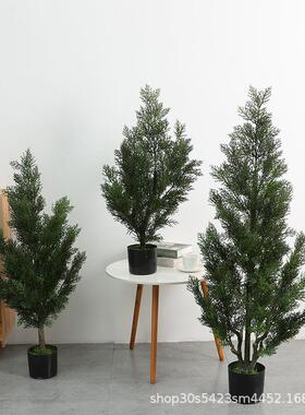 植仿真树仿真绿盆植造景仿真物树栽摆件柏树绿植盆栽大假型真客厅
