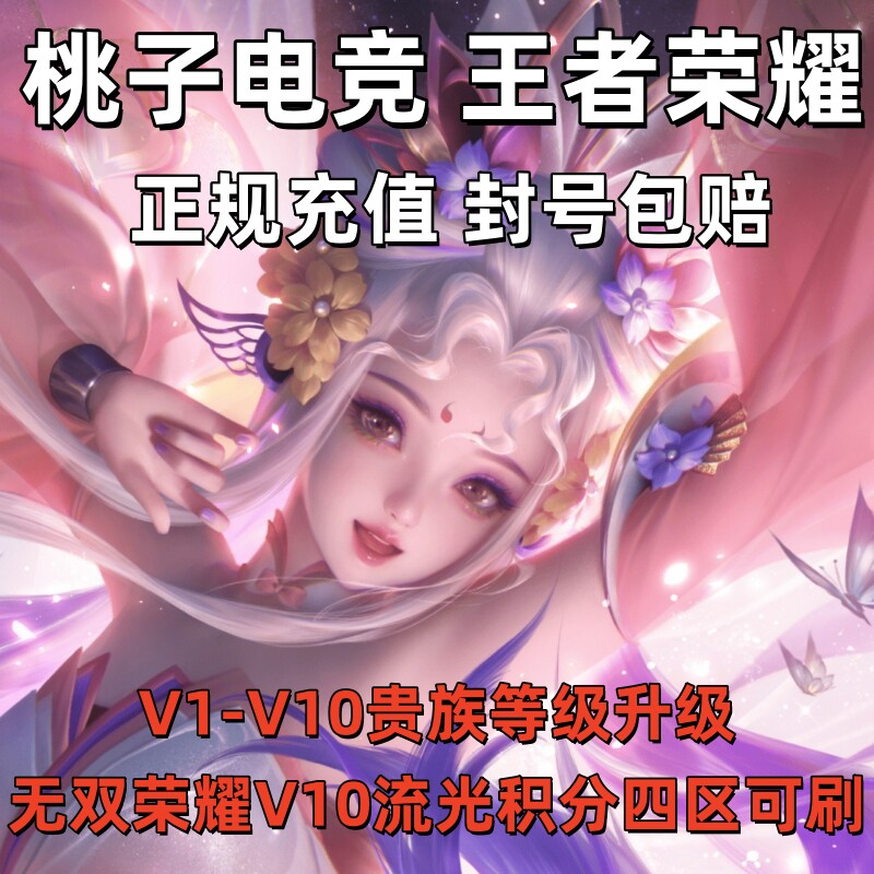 王者荣耀V10无双贵族积分贵族代刷极速升级奖池代抽快刷流光积分