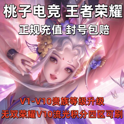 王者荣耀V10无双贵族积分贵族代刷极速升级奖池代抽快刷流光积分