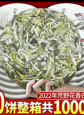 2022年花香福鼎荒山新白茶白牡丹花香茶饼浓郁春季明前摘