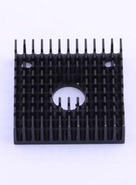 XSDG20-193-B1 散热板/散热片 40*40*11MM黑色开槽A款