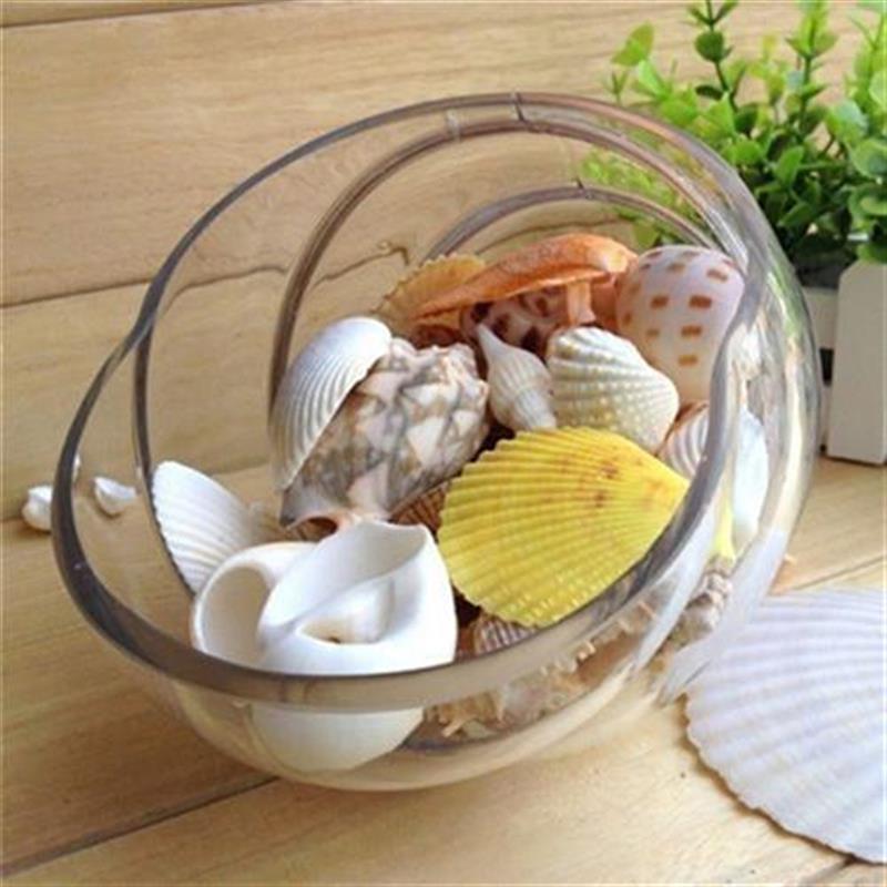 100g/bag Mixed Sea Beach Shells Seashells Fish Tank