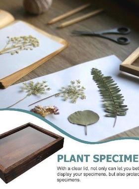 Specimen Display Box Frame Case Storage Butterflies