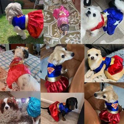Pet Dog Dress Halloween Super Claw Skirt Cat Princess Dress