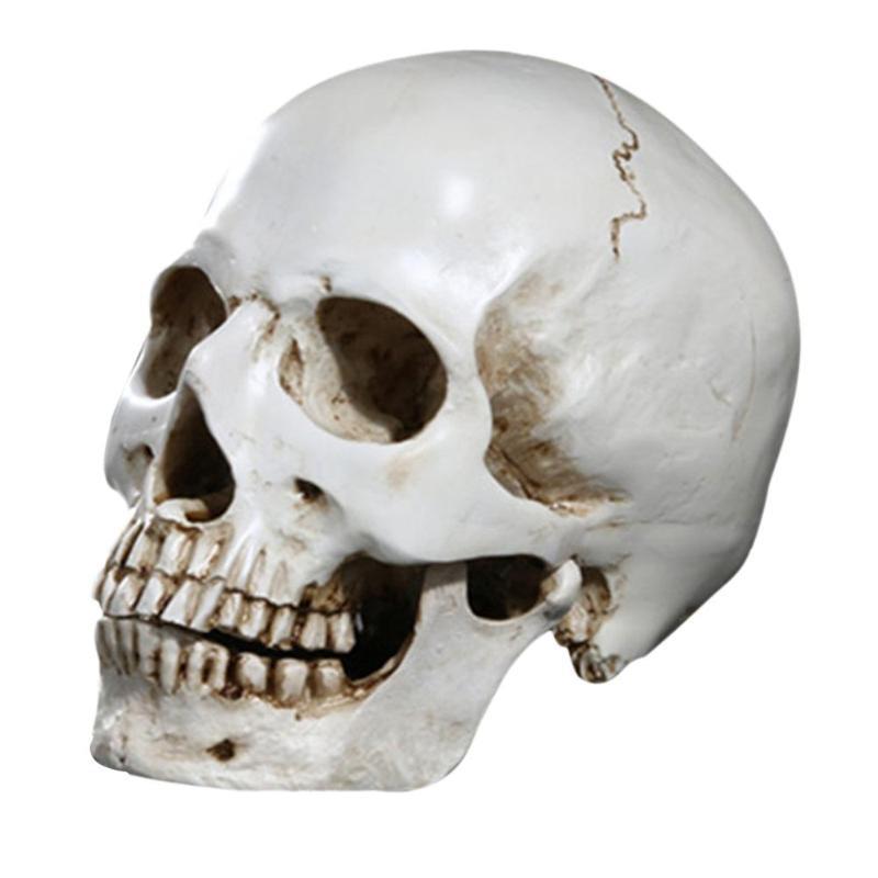 Human Head Replica Resin Divided 3D Skull Mould for Hallowee