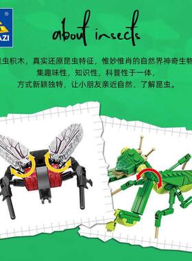 toys for kids Open intelligent animal insect girl building b
