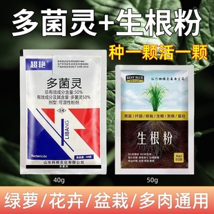 多菌灵生根粉生根液多灵菌根腐病专用药杀菌剂多肉植物花卉灭菌灵