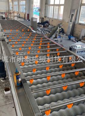 柠檬平行毛辊卜清机洗 胡AEJ萝卜毛刷清工洗去泥机 萝条加全套设