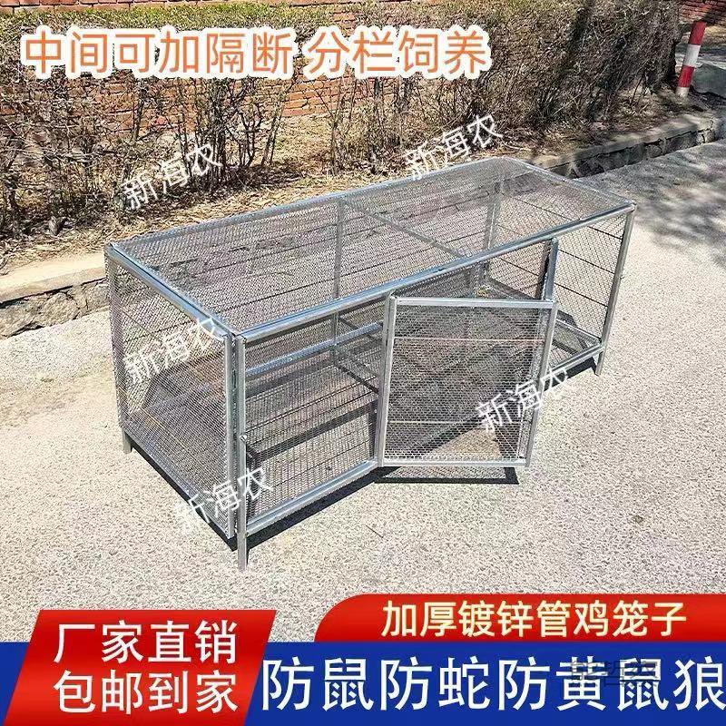 鸽笼养殖鸽笼鸡笼兔笼子黄狼防鼠家厂家直销家用户hRQpNKtR外禽加