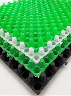 型强双面加蓄排水板 RJG屋顶花园绿种化植塑料排水板滤水板疏水板