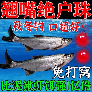 钓大翘嘴专用饵料秋季野钓黑坑垂钓四季通杀翘嘴白条诱鱼食剂泥鳅