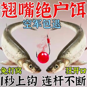翘嘴饵料钓大翘嘴专用饵料秋冬翘嘴泡泡球口神饵野河冬钓专拉米级