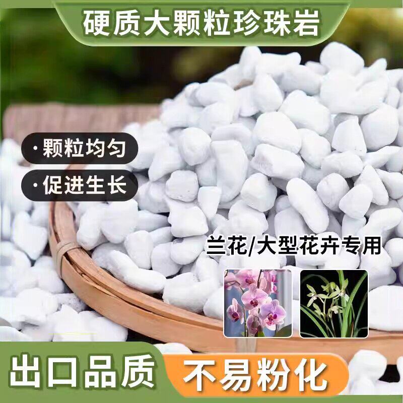 兰花专用大颗粒珍珠岩保温植料