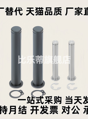 铰链销CCG CCGH SHCCG SHCDG SHCCGH3 4 5 6 8 10-10 15 20 25 30