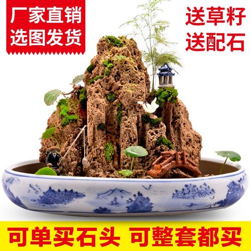 天然吸水石盆景原石上水