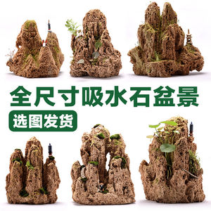 吸水石上水石精品小假山盆景