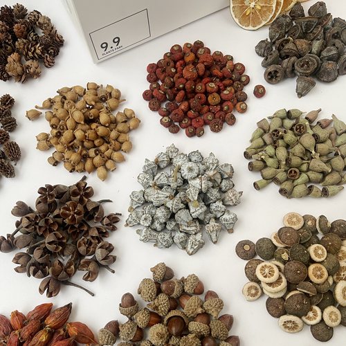 【果实1-2cm合集】天然干果干花水果手工diy材料幼儿植物标本相框