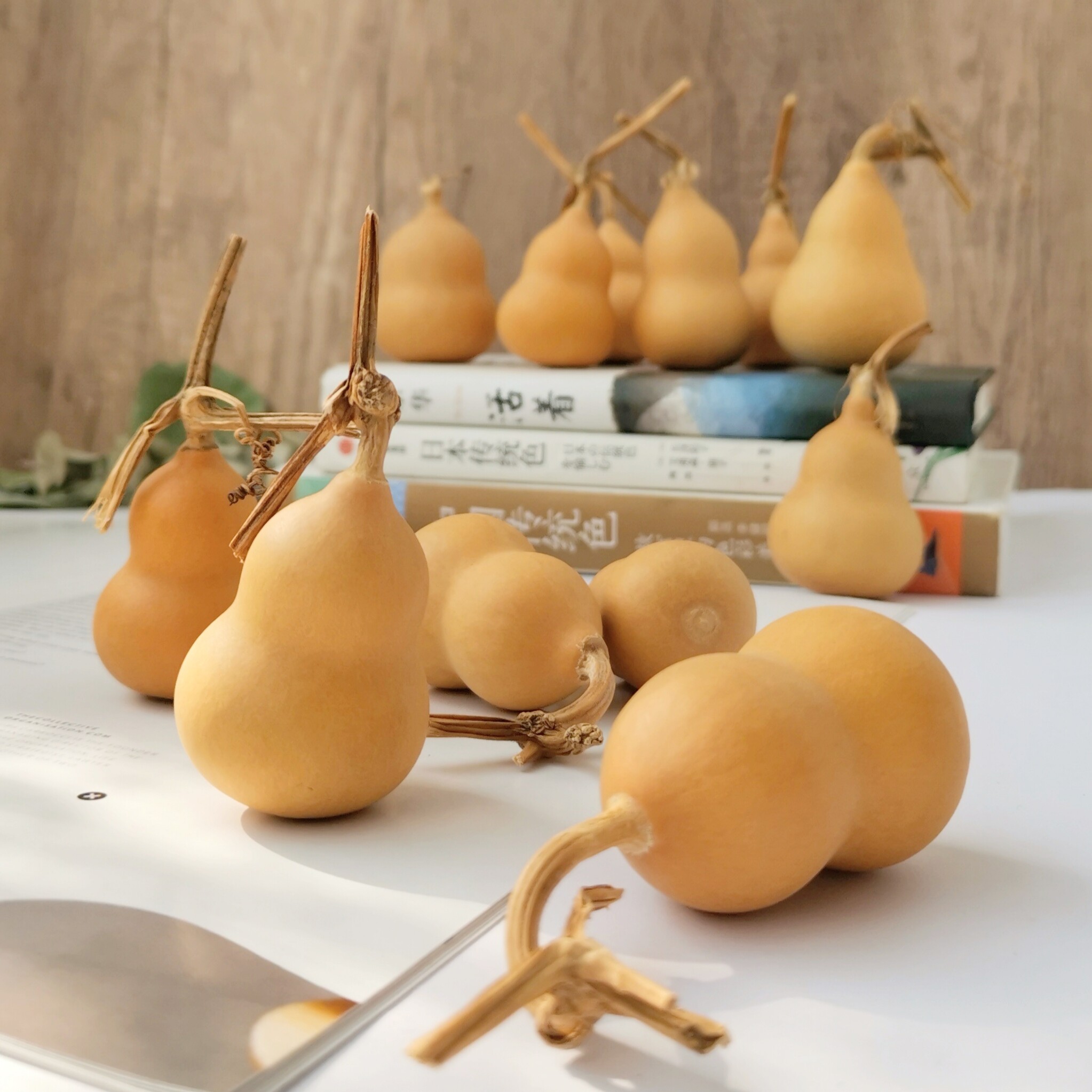 【葫芦】天然真大小葫芦居家装饰品 吉祥好运礼品 原生态干花植物