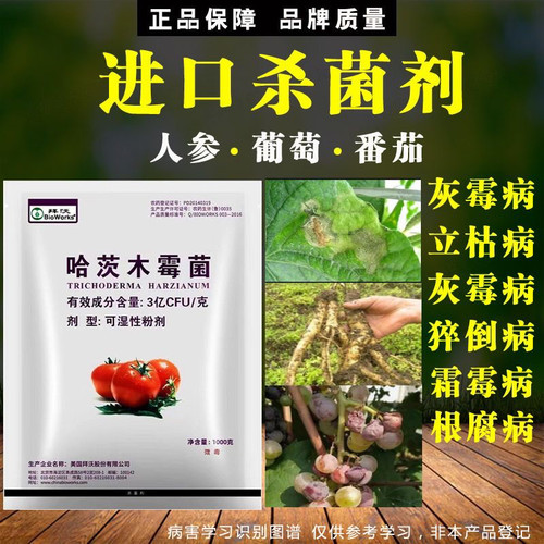 美国拜沃哈茨木霉菌番茄灰霉病霜霉病立枯病猝倒病根腐病杀菌剂