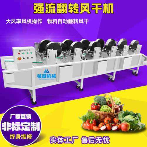 定制加工蔬菜风干流水线 水果清洗风干机 萝卜清洗风干流水线