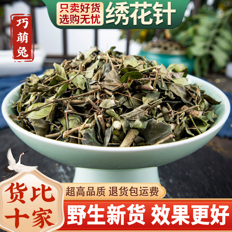 正宗野生中药材虎刺根老鼠刺绣花针干品白凤珠草药500g包邮鸟不宿