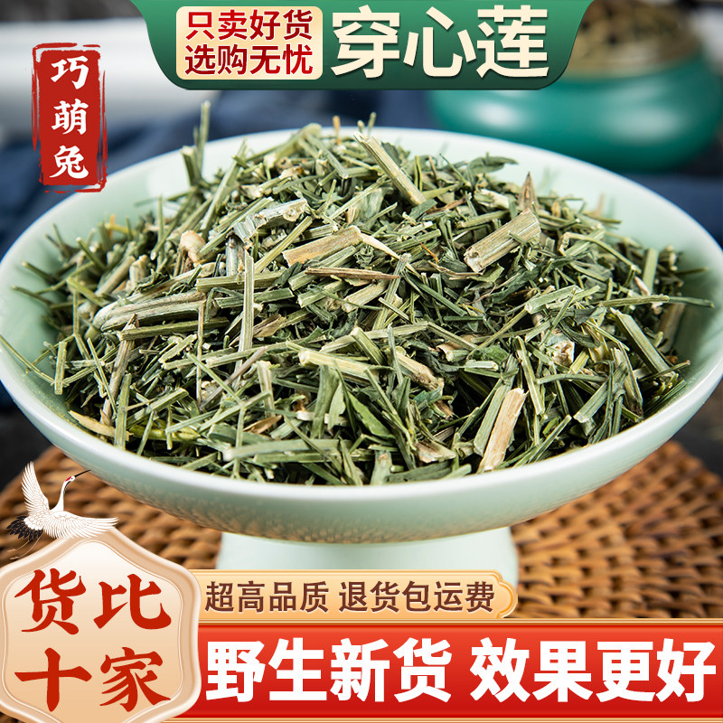 野生穿心莲中药材500克 穿心莲茶穿心连一见喜川心连川心莲穿芯莲