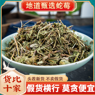 旗舰店精选蛇莓中草药500克包邮