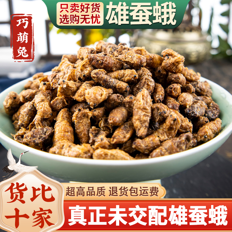 中药材雄蚕蛾纯公蝉俄晚娥魏蚕峨可免费磨粉未交配雄天蛾男性500g
