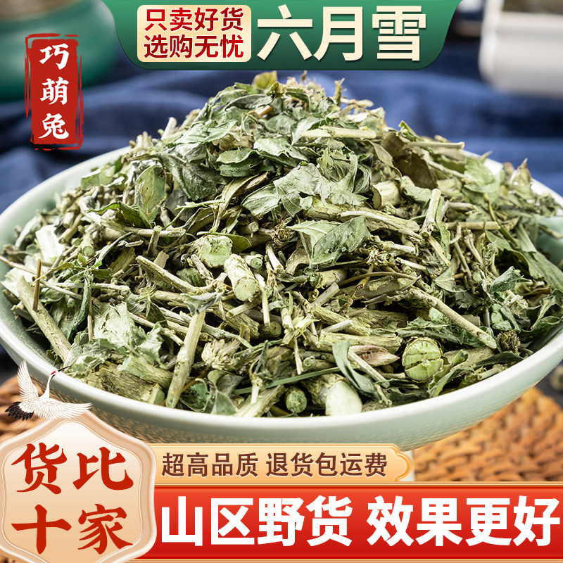 六月雪草药500克 野生六月雪中药材 满天星碎叶冬青白马骨中草药