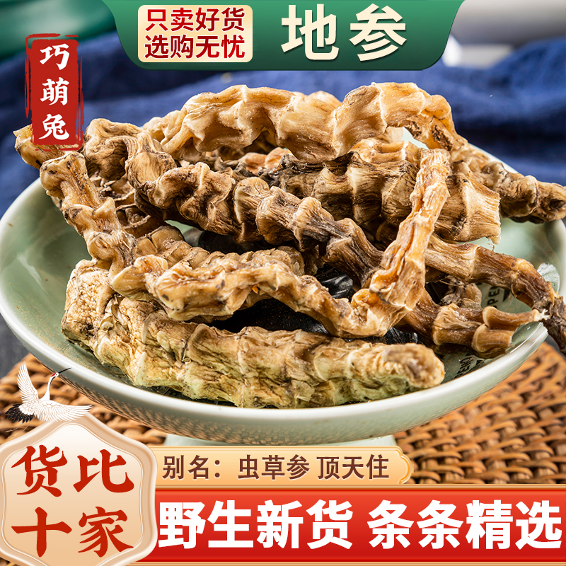 云南虫草参地参干中药材新鲜干货精选大条新货泡酒地蚕草石蚕地笋
