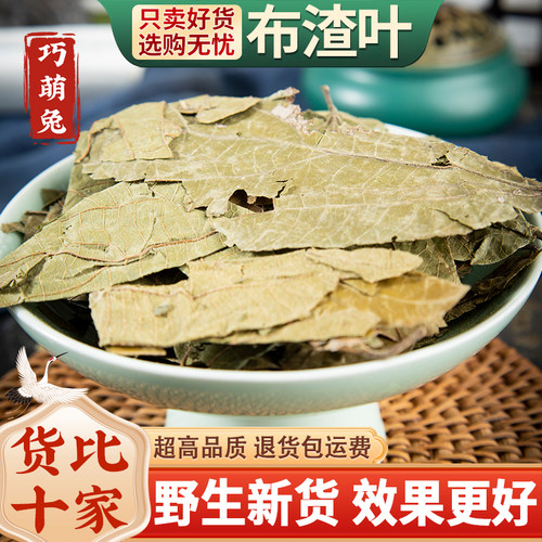 布渣叶500g包邮布渣叶草破布叶麻布叶烂布渣 薢宝叶广东凉茶原材